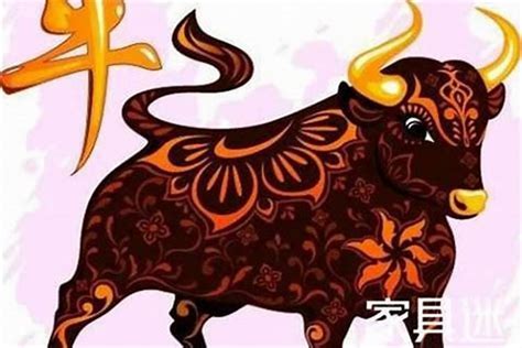 牛年|牛年是哪几年生的年份 属牛的年龄对照表2023